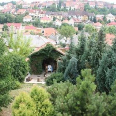 Borbarat Vendeghaz Villa Eger Bagian luar foto